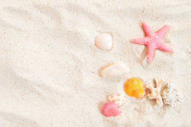 Plaj arka plan - kabukları ve deniz yıldızı ile kum Beach üstten görünüm. Yaz arka plan kavramı.