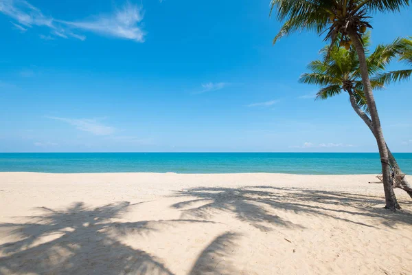 Paesaggio Palme Cocco Sulla Spiaggia Tropicale Estate Concetto Sfondo Estivo — Foto Stock