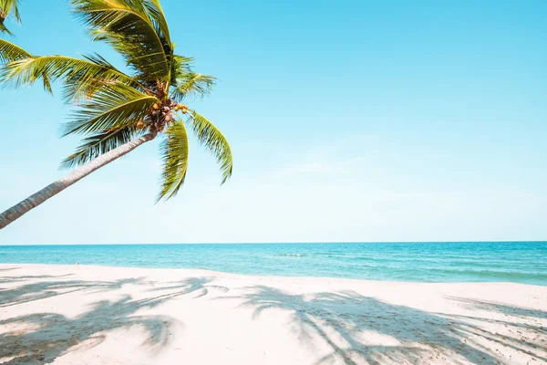 Bela Paisagem Coqueiro Praia Tropical Paisagem Marinha Verão Conceito Fundo — Fotografia de Stock