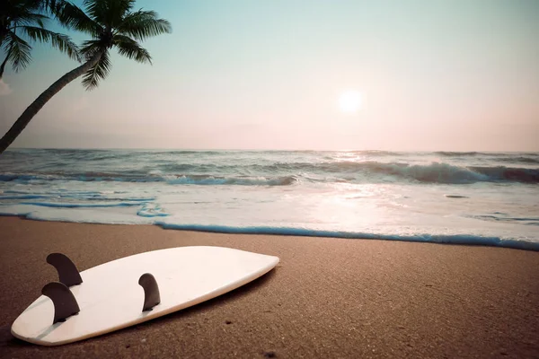 Prancha Surf Praia Tropical Pôr Sol Verão Paisagem Praia Verão — Fotografia de Stock