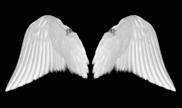 Белые Крылья Ангела Изолированы Черном Фоне — стоковое фото