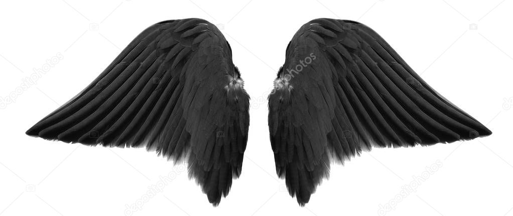 black angel wings isolated on white background