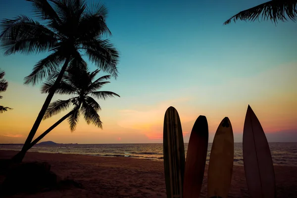 Silhouette Surfbrett Tropischen Strand Bei Sonnenuntergang Sommer Meereslandschaft Mit Sommerstrand — Stockfoto