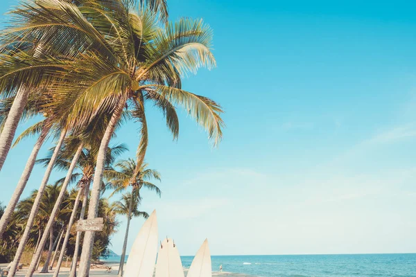 Paisagem Coqueiro Praia Tropical Verão Sinal Praia Para Área Surf — Fotografia de Stock