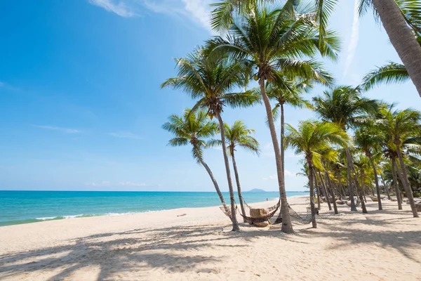Landschaft Aus Kokospalmen Tropischen Strand Sommer Sommerliches Hintergrundkonzept — Stockfoto
