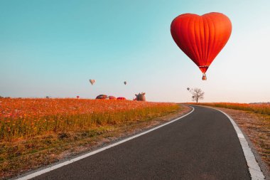 Çiçek tarlasının üzerinde kalp şeklinde kırmızı sıcak hava balonu. Aşkın ve sevgililerin sembolü. Chiangrai Tayland 'da balon festivalinde manzara. Klasik renk tonu.