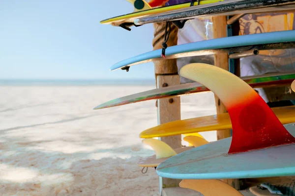 Placas Surf Coloridas Loja Para Alugar Praia Equipamento Desportivo Aquático — Fotografia de Stock