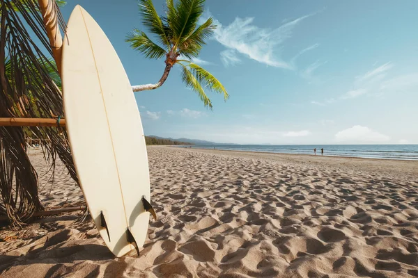 Surfbrett Und Palme Strand Hintergrund Mit Menschen Reiseerlebnis Und Wassersport — Stockfoto