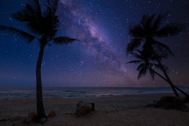 Güzel doğa fantezisi - romantik plaj ve yıldızlı samanyolu. Antika renkte bir Retro tarzı var. Yaz mevsimi, balayı gece gökyüzünde arka plan konsepti.