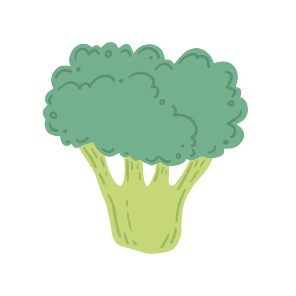 Ilustración vectorial de brócoli. Estilo de dibujos animados — Archivo Imágenes Vectoriales