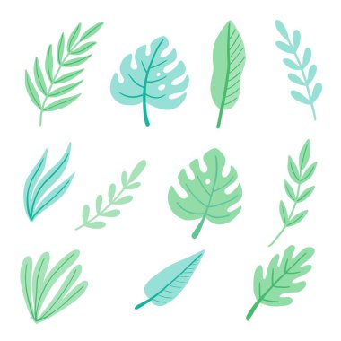 Tropik egzotik yaz yaprağı seti. Moda tarzının orman yaprağı. Vektör illüstrasyonu.