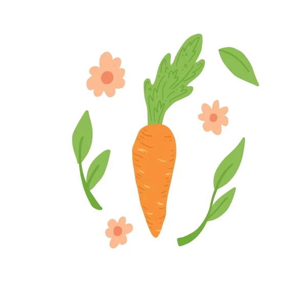 Ilustración de vectores de zanahoria. Estilo dibujado a mano simple . — Archivo Imágenes Vectoriales