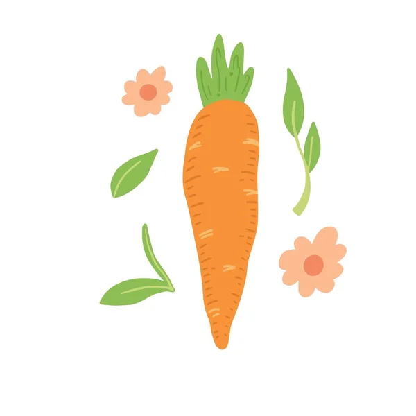 Ilustración de vectores de zanahoria. Estilo dibujado a mano simple . — Archivo Imágenes Vectoriales