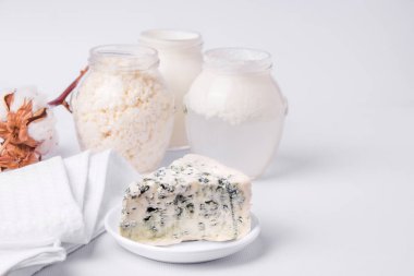 Süt ürünleri süzme peynir, ekşi krema, süt, mavi peynir, peynir, peynir ve kulübe için ekşi ekmek. Beyaz arka plan. Yukarıdan bak. Boşluğu kopyala