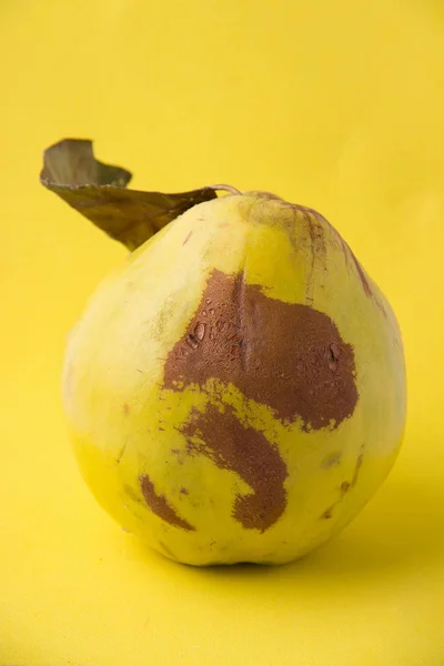 Ugly fruits on a yellow background. Pomelo, guava, quince.