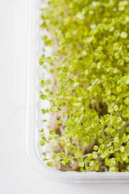 Doldurulabilir polipropilen kaplarda mikro yeşiller. Keten halıda yeşil lahanalı su teresi salatası ve roka. Ev yapımı.