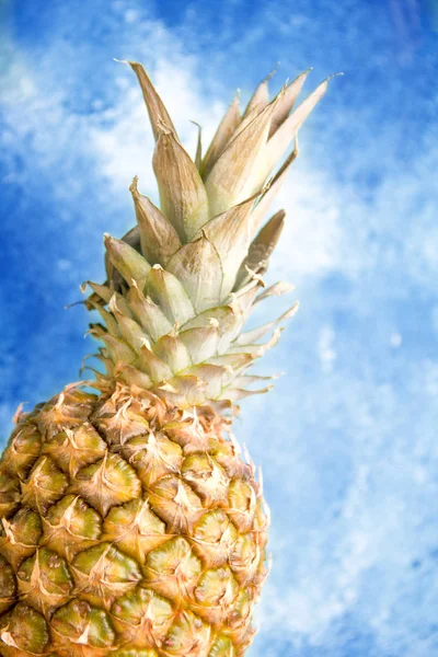 Close-up photo of pineapple on a blue background. Tropical fruit Stock Picture