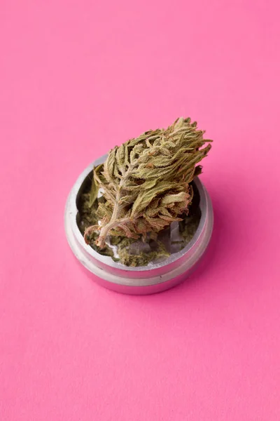 Rametto di marijuana su sfondo rosa. avere spazio di copia — Foto Stock