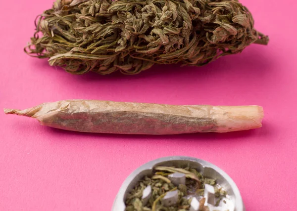 Marihuana auf rosa Hintergrund in Großaufnahme neben einer Hanfzigarette — Stockfoto