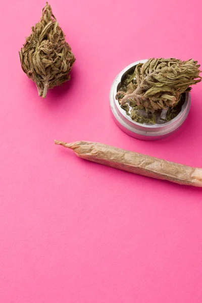 Marihuana ve svislé orientaci na růžovém pozadí. kopírovat prostor — Stock fotografie