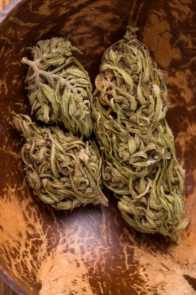 Nahaufnahme von Marihuana aus Kokosnuss in Moskau — Stockfoto