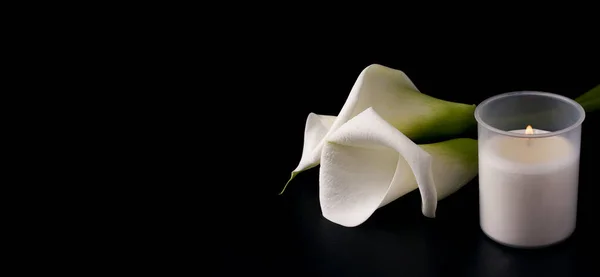 Siyah arka planda mum olan Zantedesia 'nın beyaz çiçekleri. Uzayı kopyala Değerlendirme kavramı, yas tutma. Pankart