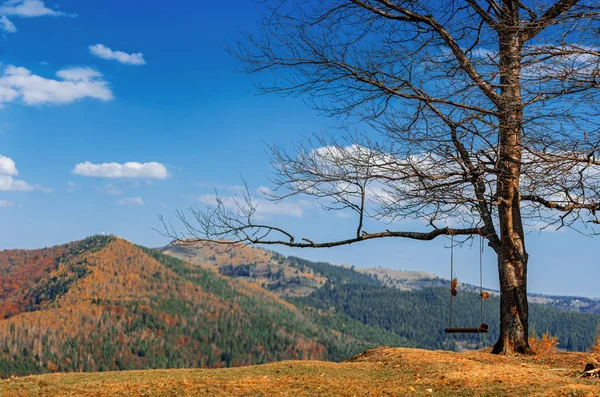 Karpat Dağları manzarası ve salıncaklı yalnız bir ağaç