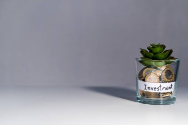 Coronavirüs krizinden sonra yatırım tasarrufu. Finansal etiketli bir kavanozda filizlenen altın sikke yığını mevduat parasını tasarruf ettirir faiz bankası yardımı kazanır
