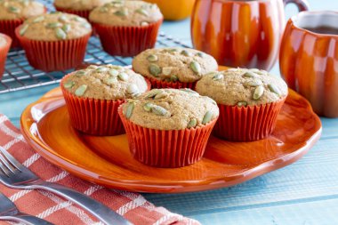 Taze pişmiş kabak kekler