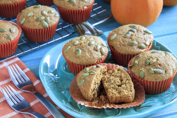 Muffins de abóbora cozidos no forno frescos — Fotografia de Stock