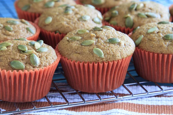 Muffin di zucca appena sfornati — Foto Stock