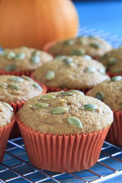 Muffin di zucca appena sfornati — Foto Stock