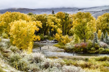 Sonbahar renk ve Colorado karda