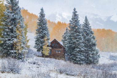 Sonbahar renk ve Colorado karda