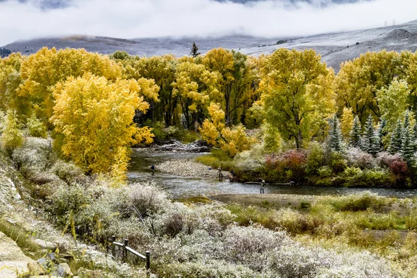 Caída de color y nieve en Colorado —  Fotos de Stock