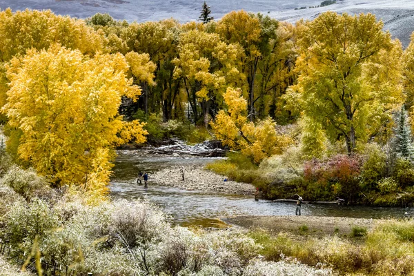 Colore autunno e neve in Colorado — Foto Stock