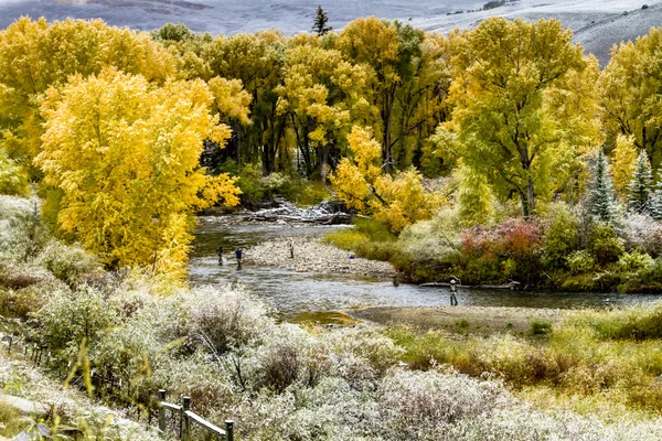 秋天的色彩和科罗拉多州的雪 — 图库照片