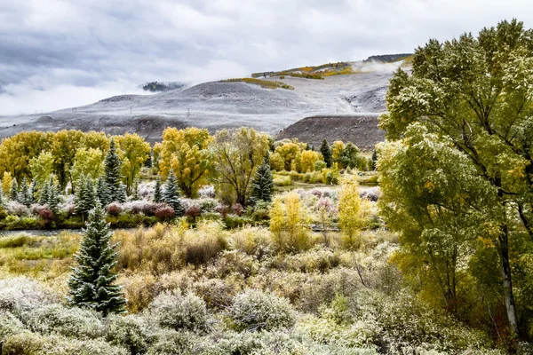 Herbst Farbe und Schnee in colorado — Stockfoto