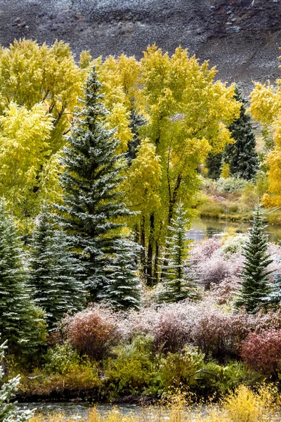 Caída de color y nieve en Colorado — Foto de Stock