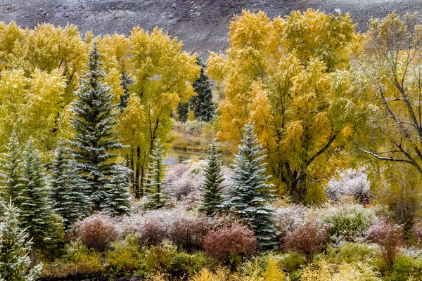 Sonbahar renk ve Colorado karda — Stok fotoğraf