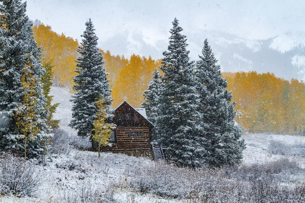 Caída de color y nieve en Colorado — Foto de Stock