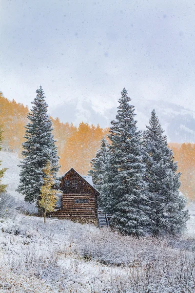 Õszi szín és a hó, a Colorado — Stock Fotó