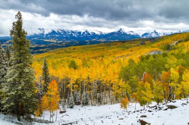 Sonbahar renk ve Colorado karda