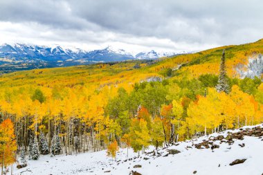 Sonbahar renk ve Colorado karda