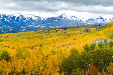Sonbahar renk ve Colorado karda