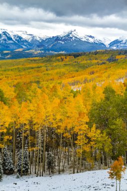 Sonbahar renk ve Colorado karda