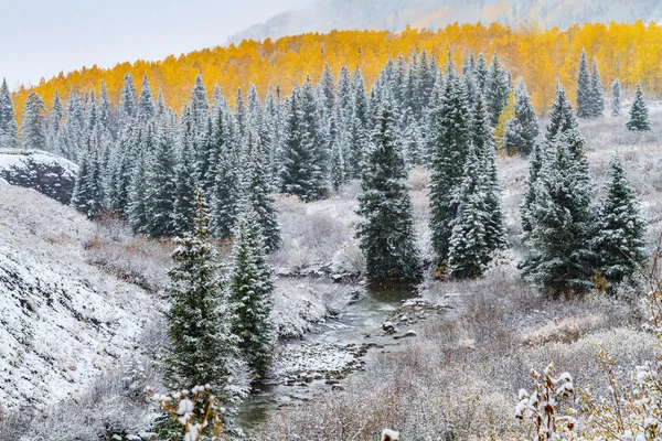 Colore autunno e neve in Colorado — Foto Stock