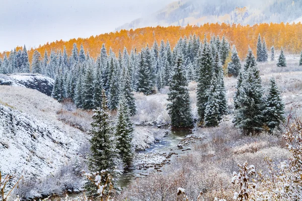 Caída de color y nieve en Colorado — Foto de Stock