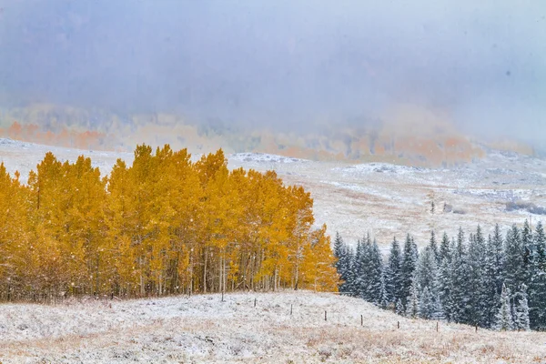 Queda de cor e neve no Colorado — Fotografia de Stock