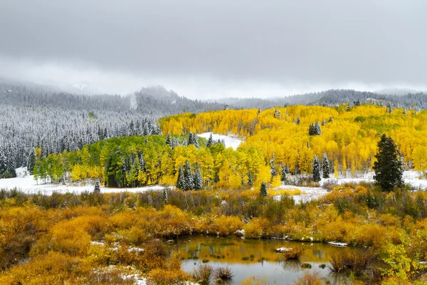 Colore autunno e neve in Colorado — Foto Stock